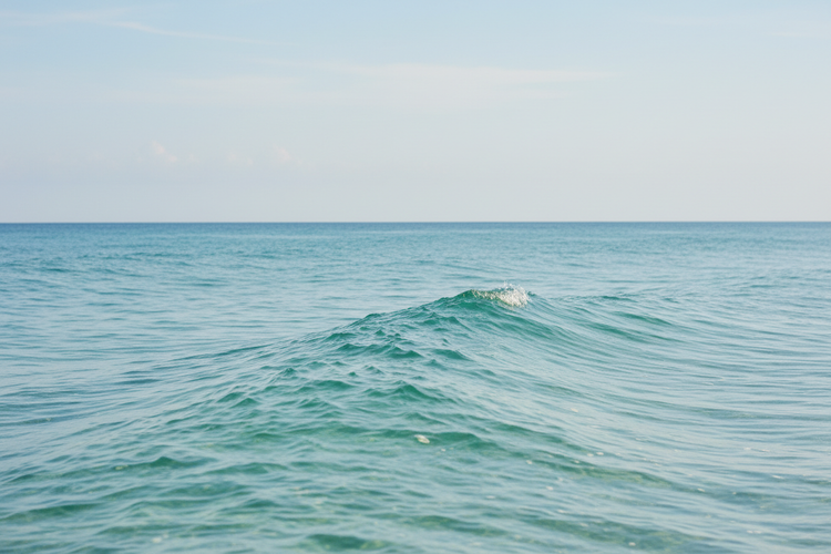 Surfboard Baggage Fees for 2026: What Airlines Charge