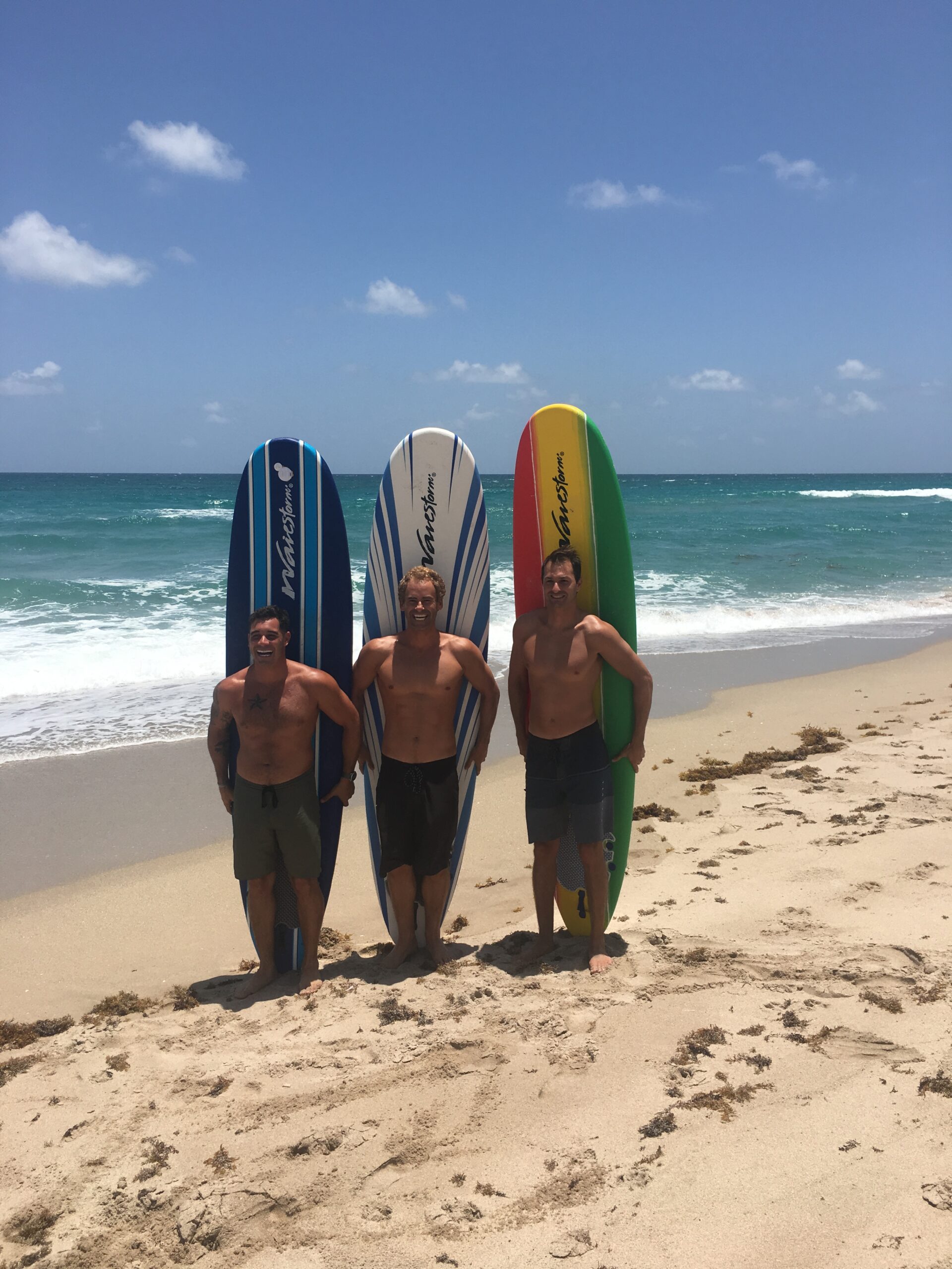 Costco deals fish surfboard